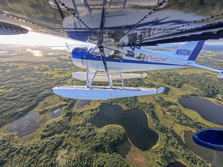 Exploring Bristol Bay: Hiking, Wildlife, and Wilderness Adventures in Alaska